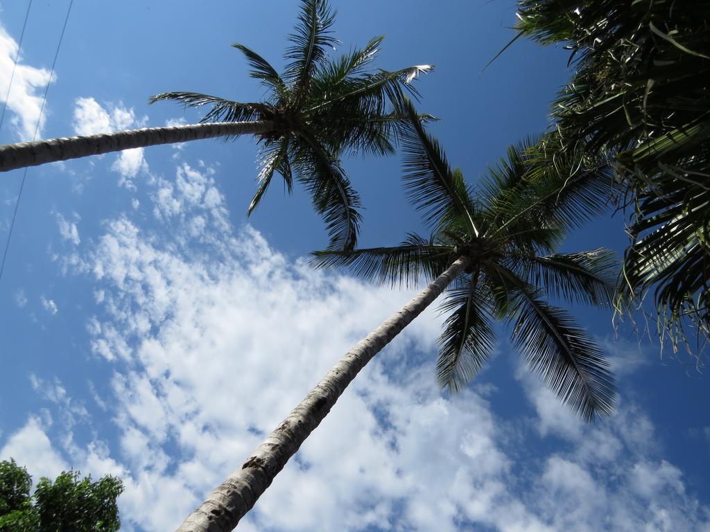 Eco Hotel Las Palmas Puerto Espejo Zewnętrze zdjęcie
